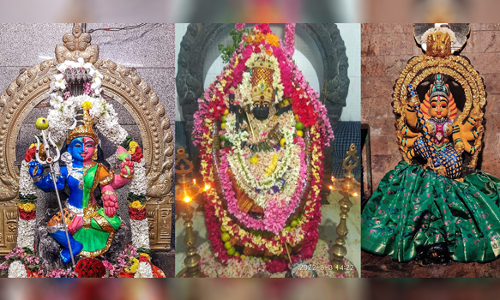 பரமத்தி வேலூர் சுற்றுவட்டாரப் பகுதிகளில் ஆடி18 பண்டிகையை முன்னிட்டு  கோவில்களில் சிறப்பு வழிபாடு