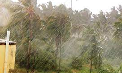 கோவையில் இன்று காலை திடீர் மழை