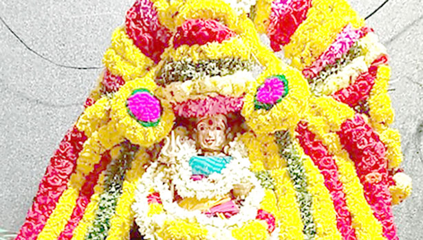 காளியம்மன் கோவிலில் ஆடித்திருவிழா காளியம்மன் கோவிலில் ஆடித்திருவிழா