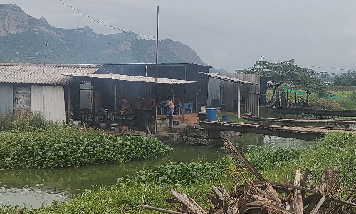 காவேரிப்பட்டணம் நெடுஞ்சாலை   ஓட்டல்களில் சுகாதாரமற்ற உணவு விநியோகம்-   அதிகாரிகள் ஆய்வு செய்ய லாரி டிரைவர்கள் வலியுறுத்தல்