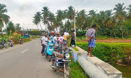 சூளகிரி அருகே  தனியார் நிறுவனத்தில் இருந்து வெளியேறும்  கழிவுநீரால் செத்து மிதந்த மீன்கள்