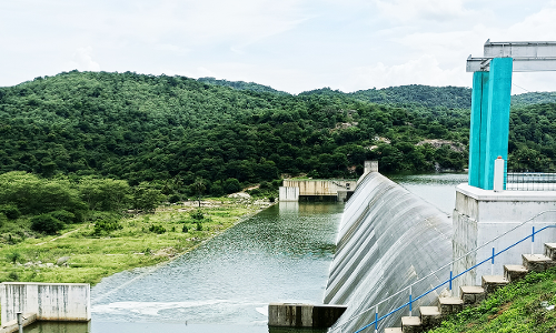 குடியாத்தம் கவுண்டன்ய மகா நதியில் வெள்ளம்