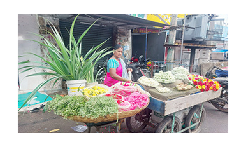 வரலட்சுமி நோன்பையொட்டி   தருமபுரியில் தாழம்பூ- பூஜை பொருட்கள் விற்பனை அமோகம்