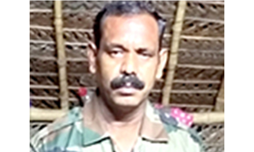 பனைமரம் முறிந்து விழுந்து ராணுவவீரர் படுகாயம்