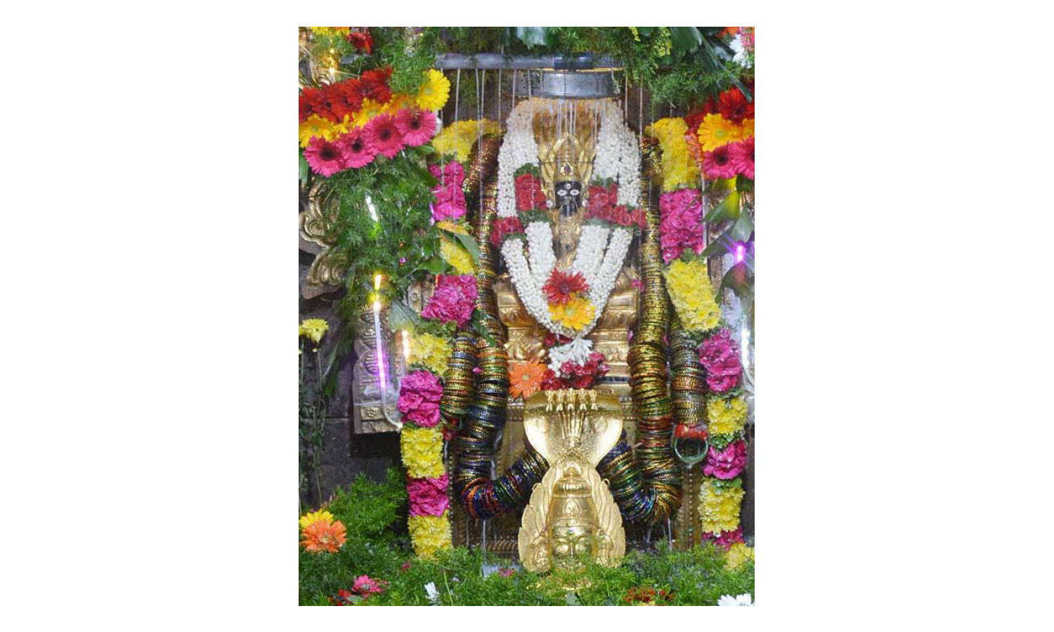 ஆடி 3-வது வெள்ளியை முன்னிட்டு அம்மன் கோவில்களில் சிறப்பு பூஜைகள் ஆடி 3-வது வெள்ளியை முன்னிட்டு அம்மன் கோவில்களில் சிறப்பு பூஜைகள்