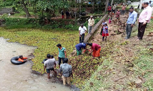 முளகுமூடு பகுதியில் குளத்தில் பாசிகள் அகற்றம்