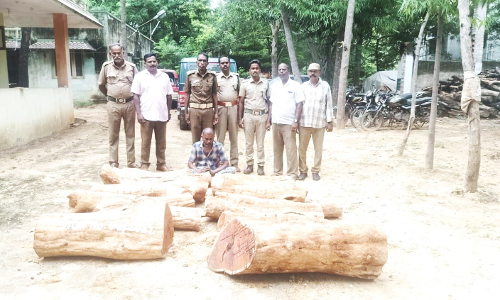 செம்மரம் வெட்டி கடத்தல்