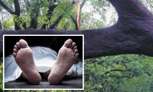 பைக்கில் சென்றபோது திடீரென மரம் சாய்ந்ததில் காயமடைந்த மின் ஊழியர் பலி