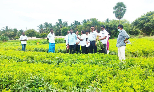 வேளாண் திட்டப்பணிகளை   குடுமியான் மலை இயக்குநர் ஆய்வு