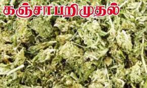 சுல்தான்பேட்டையில்  கஞ்சா விற்ற 2 பேர் கைது