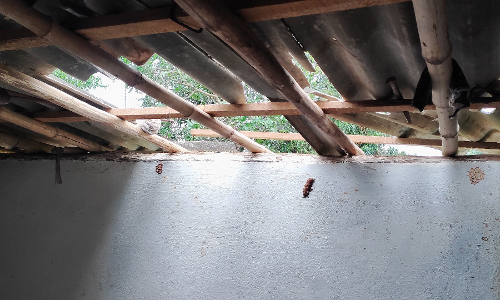 தொண்டாமுத்தூர் அருகே வீட்டின் கூரையை பிரித்து உணவு தேடிய யானைகள்