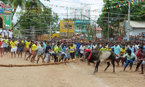 வடமாடு மஞ்சு விரட்டு