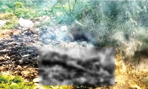 எரிந்த நிலையில் ஆண் பிணம்