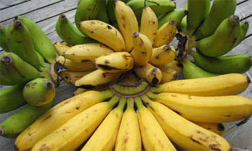 ரூ.8 லட்சத்து 79 ஆயிரத்துக்கு வாழைப்பழம் ஏலம்