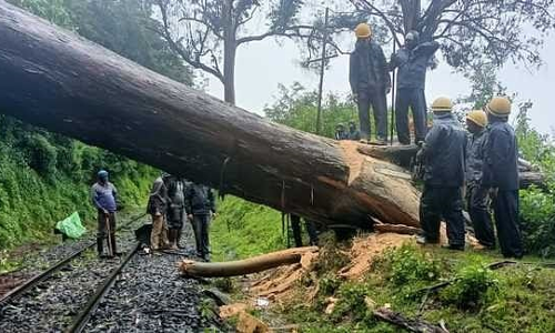 அவலாஞ்சியில் 10 செ.மீ மழை