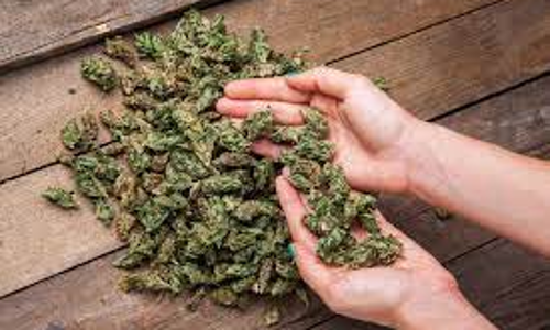 கந்தவகோட்டையில் கஞ்சா விற்ற வாலிபர் கைது - போலீசாரின் கண்காணிப்பை அதிகரிக்க பெற்றோர்கள் கோரிக்கை