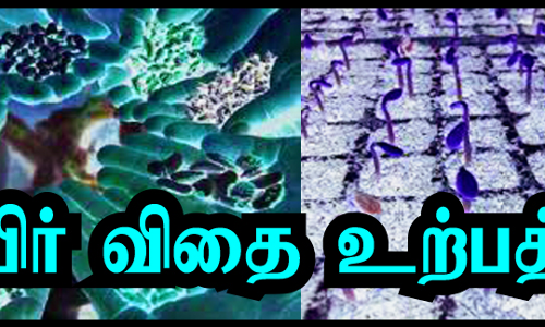 கந்தர்வகோட்டையில் விவசாயிகளுக்கு தரமான பயிர் விதை உற்பத்தி குறித்த பயிற்சி முகாம்