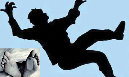 மரத்தில் இருந்து கீழே விழுந்து வாலிபர் சாவு