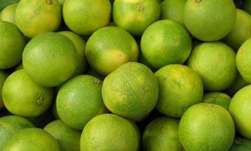 சுட்டெரிக்கும் கோடை வெயில்- சாத்துக்குடி விலை அதிகரிப்பு