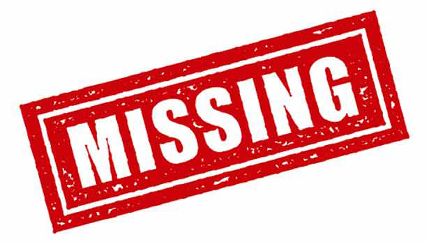 தேனி அருகே வாலிபர் மாயம்