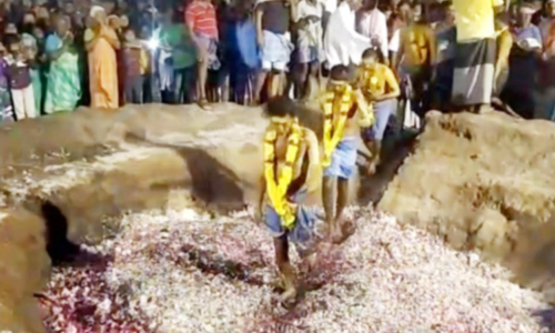 மொகரம் பண்டிகையையொட்டி பூக்குழி இறங்கி நேர்த்திக்கடன் செலுத்திய இந்துக்கள்