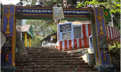 சதுரகிரிக்கு பக்தர்கள் செல்ல அனுமதி ரத்து