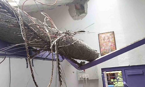 பலத்த காற்றால் வீடுகள் மீது விழுந்த பனைமரம்