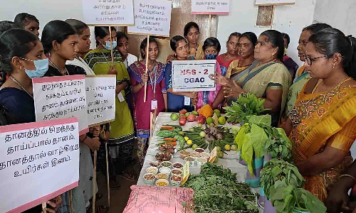 தாய்ப்பால் குழந்தைகளின் அறிவுக்கூர்மையை அதிகப்படுத்தும் - விழிப்புணர்வு  நிகழ்ச்சியில் அதிகாரி பேச்சு