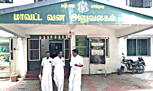 குடியிருப்பு பகுதிகளில் திரியும் குரங்குகளை பிடிக்க கோரிக்கை