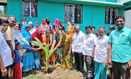 கோவில்பட்டி பள்ளிவாசலில் தென்னை மரக்கன்று நடும் விழா
