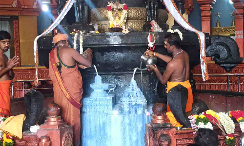 பல்லடம் சிவன் கோவில்களில் பிரதோஷ வழிபாடு