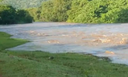 மாயாற்றில் வெள்ளப்பெருக்கால் பரிசல் இயக்க தடை விதிப்பு: மாணவர்கள்-கிராம மக்கள் தவிப்பு