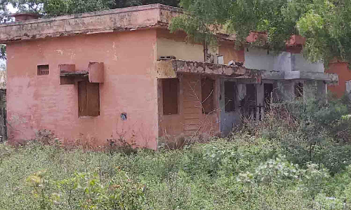 புதர்மண்டி கிடக்கும் உடுமலை ரெயில்வே குடியிருப்பு