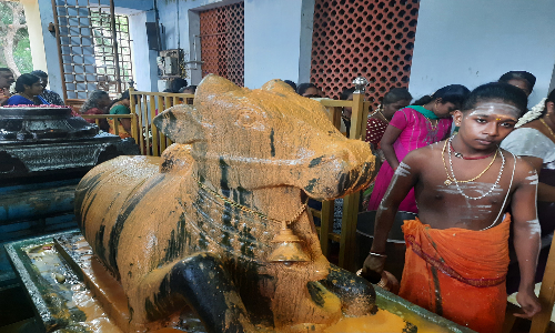 கன்னியாகுமரி பகுதியில் 12 சிவாலயங்களில் பிரதோஷ வழிபாடு - திரளான பக்தர்கள் பங்கேற்பு