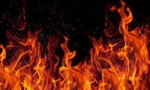 நெய்வேலி அருகே நடுரோட்டில் தீப்பிடித்து எரிந்த கார்