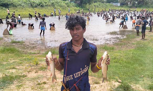 சாணார்பட்டி அருகே மீன்பிடித் திருவிழா