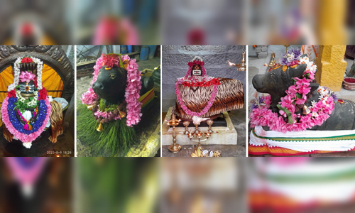சிவன் கோவில்களில் நந்திபெருமானுக்கு சிறப்பு அபிஷேக ஆராதனை