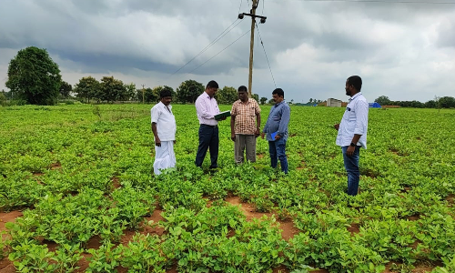 விதைப்பண்ணை அமைப்பதனால்  அதிக லாபமும், ஊக்கத்தொகையும் கிடைக்கும்-   வேளாண்மை அதிகாரி தகவல்