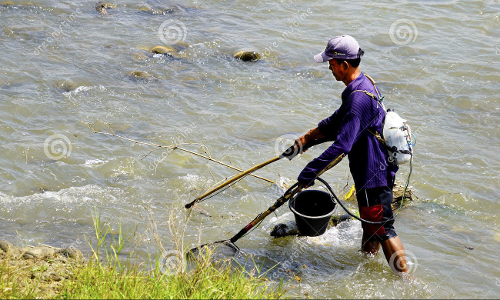 தியாகதுருகம் அருகே  ஏரியில் மின்சாரம் செலுத்தி மீன் பிடிக்கும் கும்பல்