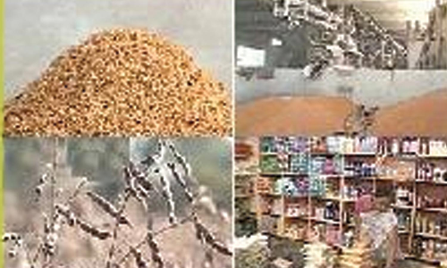 ஒழுங்குமுறை விற்பனைக் கூடங்களில் சேமிப்பு கிடங்குகள் அமைப்பு