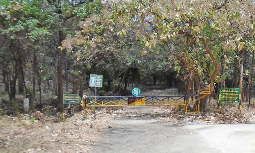 களக்காடு செங்கல்தேரி மலையில் மர்ம நபர்கள் ஊடுருவல்- சமூக வலைதளங்களில் வெளியான வீடியோவால் பரபரப்பு