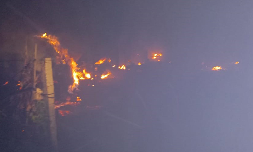 கியாஸ் கசிவால் 2 குடிசை வீடுகள் தீயில் எரிந்து சேதம்