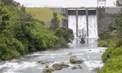 தொடர் மழை-பைக்காரா அணை நிரம்பியது- உபரிநீர் திறப்பு