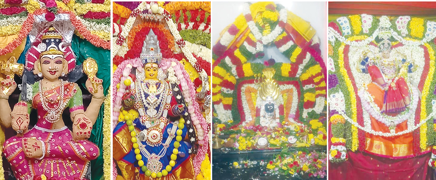 திருப்பத்தூரில் 50 அம்மன் கோவில்களில் திருவிழா திருப்பத்தூரில் 50 அம்மன் கோவில்களில் திருவிழா