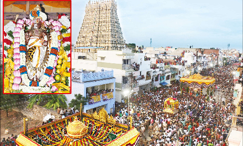 சங்கரநாராயண சுவாமி ஆடித்தபசு காட்சி: பல ஆயிரக்கணக்கான பக்தர்கள் தரிசனம்