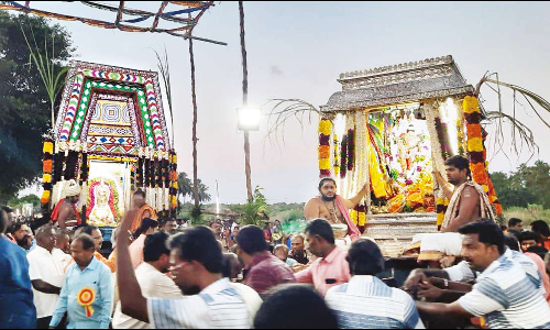 அம்பை சின்ன சங்கரன்கோவிலில் ஆடித்தபசு திருவிழா: திரளான பக்தர்கள் தரிசனம்