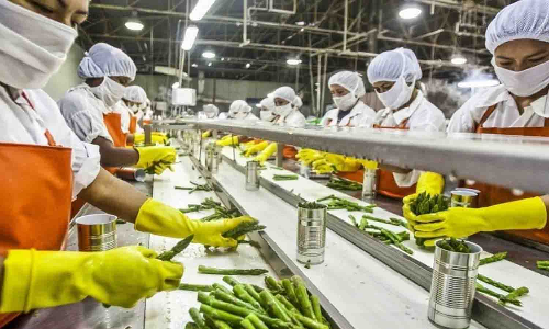 உணவு பதப்படுத்தும் சிறு நிறுவனங்கள் அமைக்க நிதியுதவி - தகுதியானவர்கள் விண்ணப்பிக்க அழைப்பு