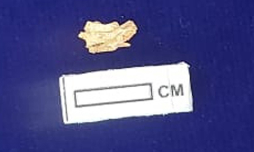 முதல் முறையாக சிவகளை அகழாய்வு பணியில் தங்கப்பொருள் கண்டுபிடிப்பு