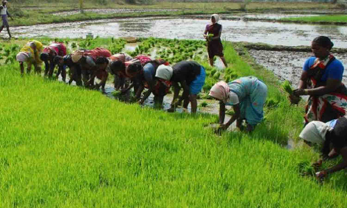 ஊக்கத்தொகை பெற ஆவணங்களை பதிவேற்றம் செய்யும் விவசாயிகள்