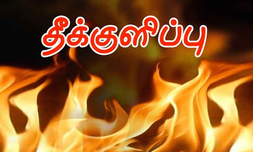 பெட்ரோல் ஊற்றி தீக்குளித்து தற்கொலை  குடும்ப பிரச்சினையால் விபரீத முடிவு